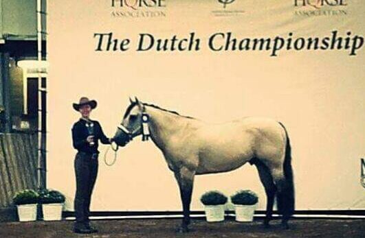 Megas Cream Dream - Image 2