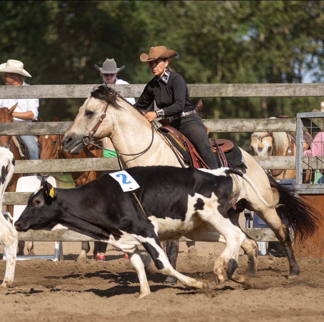 Megas Cream Dream - Image 3