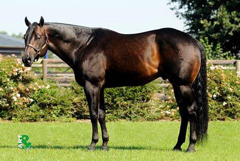 Only Invitational - Image 3