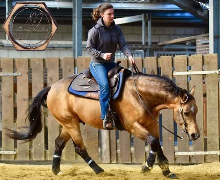 Dual Rooster Boon - Image 4