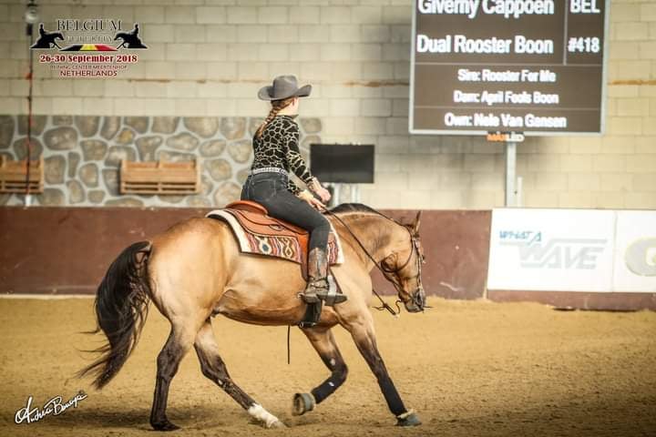 Dual Rooster Boon - Image 3