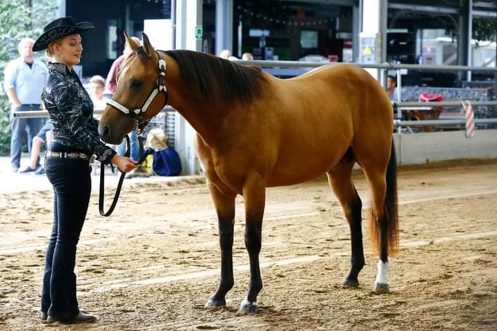 Dual Rooster Boon - Image 2