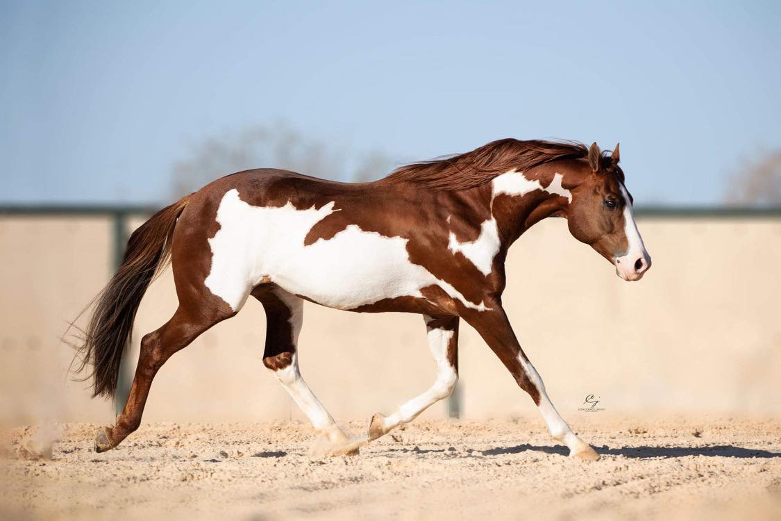 Living Large - Image 2