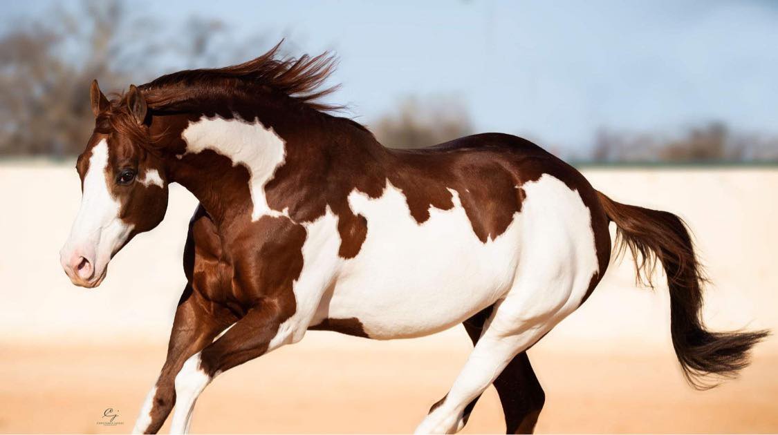 Living Large - Image 3