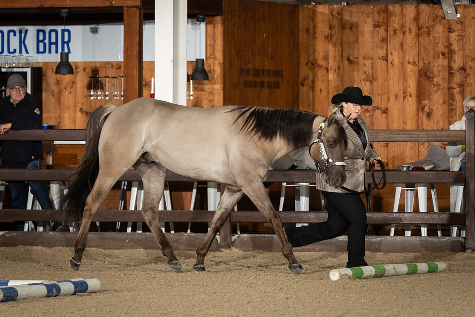 Bueno Stole My Heart - Image 3