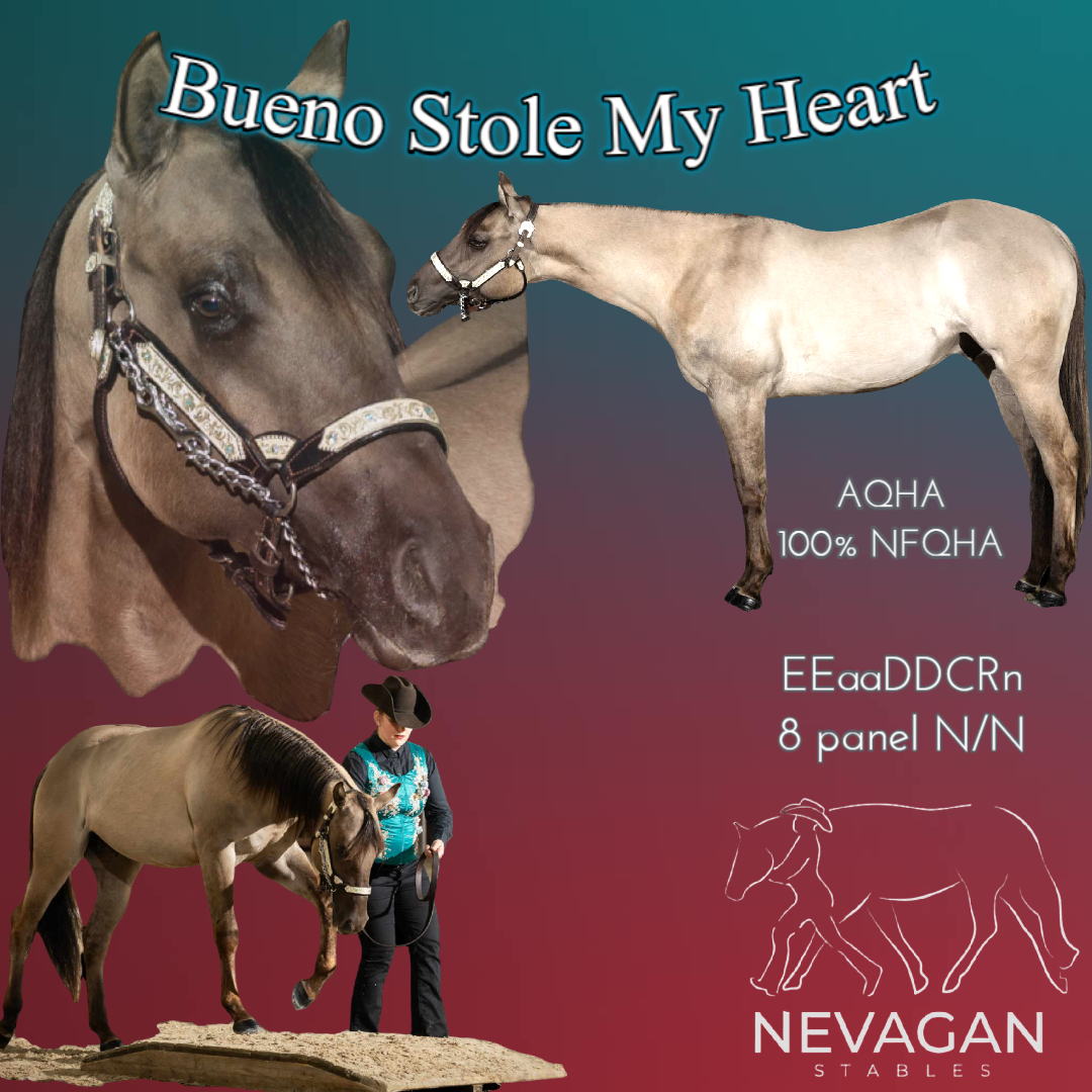 Bueno Stole My Heart - Image 4