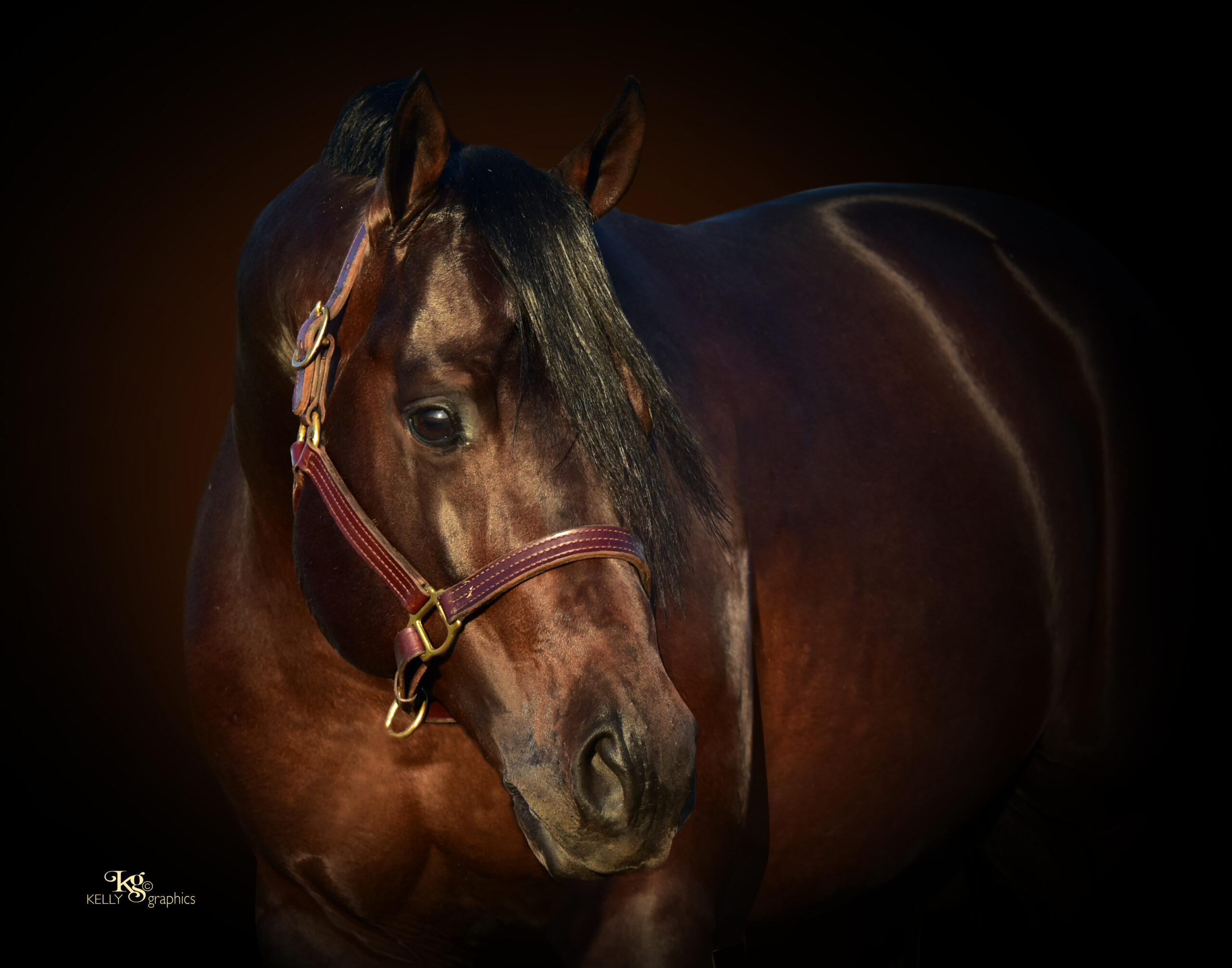 Chocolate After Dark - Image 4