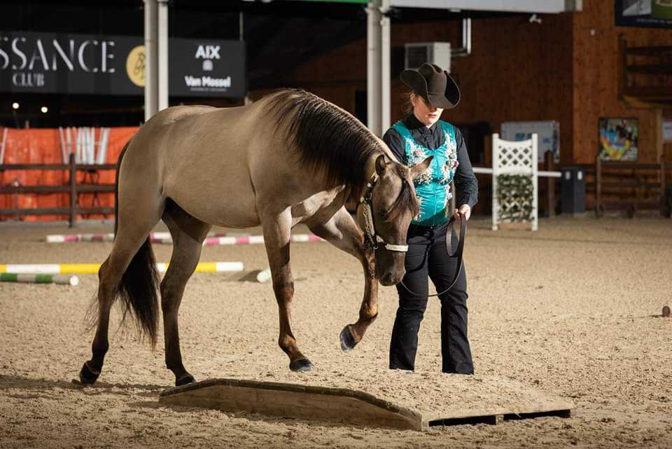 Bueno Stole My Heart - Image 2