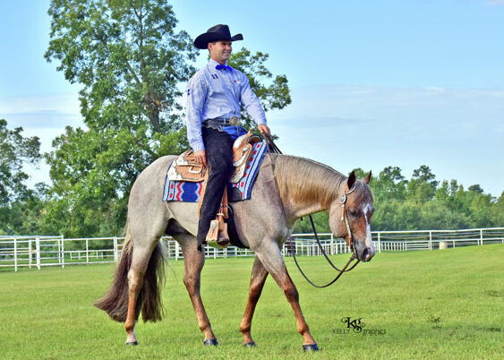 VS Code Blue - Image 3