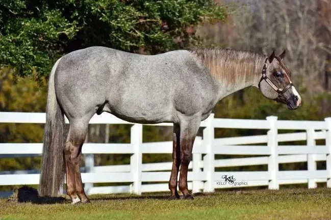 VS Code Blue - Image 2